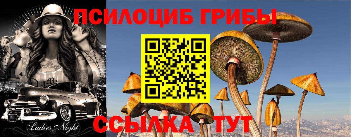 Галлюциногенные грибы мухоморы Лениногорск