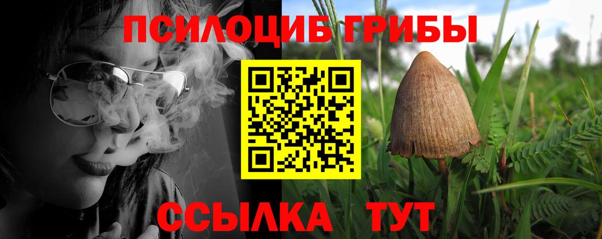 Псилоцибиновые грибы мухоморы  Галлюциногенные грибы мухоморы  Вход с VPN  Лениногорск 